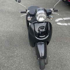 ジョルノの画像