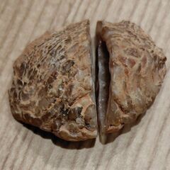 瑪瑙 メノウ パワーストーン の画像