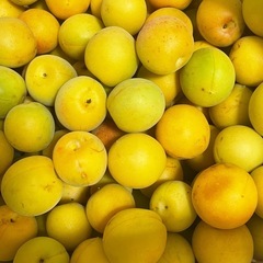 梅2kg 梅酒梅干し 無農薬の画像