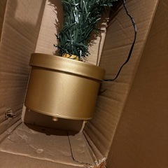 クリスマスツリーの画像