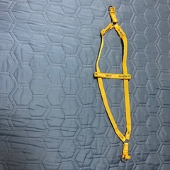 【購入予定中】犬用ハーネスの画像