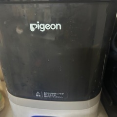 Pigeon ポチットの画像