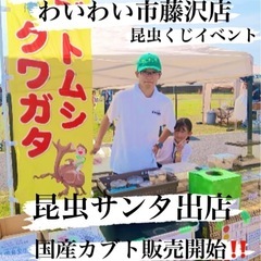 🎅昆虫サンタ出店✨昆虫くじイベント✨わいわい市藤沢店✨
