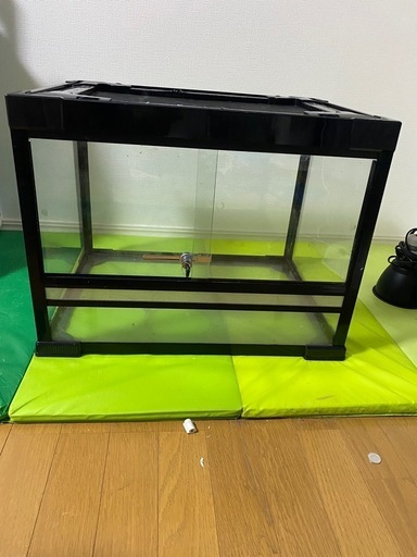爬虫類ゲージライトヒーター7/20まで！