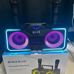 カラオケ スピーカーキャンプ　釣りBIGASUO KA215 Pro Maxの画像