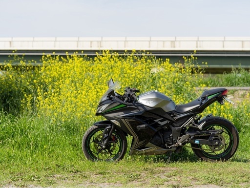 屋内保管 2015年式　ninja250 カワサキ