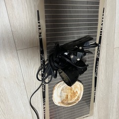 爬虫類用品の画像