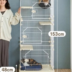 未使用、未開封です！猫ゲージの画像