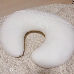 【引取者募集中】プッパプーポ/洗える授乳クッションの画像