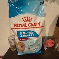 犬の餌　ロイヤルカナン　パピー