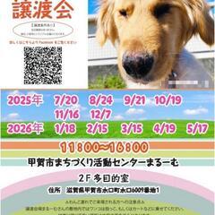 7月20日 保護犬　保護猫　譲渡会