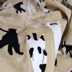マットの画像