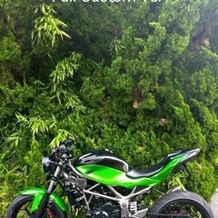 ■Kawasaki Z250SL Full Custom Ver      の画像