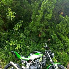 ■Kawasaki Z250SL Full Custom Ver      の画像