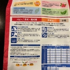 犬の餌　ワンちゃんのご飯の画像