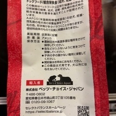 犬の餌　ワンちゃんのご飯の画像