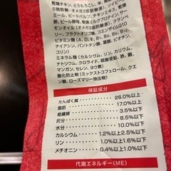 犬の餌　ワンちゃんのご飯の画像