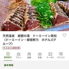 高知よさこい祭り8/12(火)宿泊2名分【高知駅近 宿泊権利】ドーミーイン高知 セミダブルルームの画像