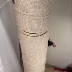 猫キャットタワー、ハンモック付