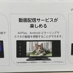 ディスプレイオーディオ　NPD-A100
の画像