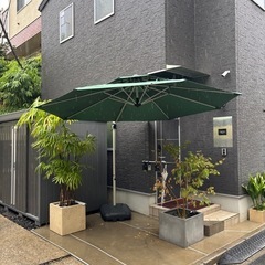 パラソルの画像