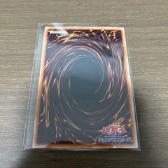 遊戯王カード マナドゥム･リウムハート プリシクの画像