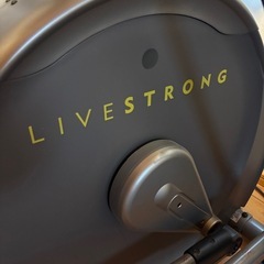 エリプティカル トレーニングマシン Livestrong暑い日に有酸素運動の画像