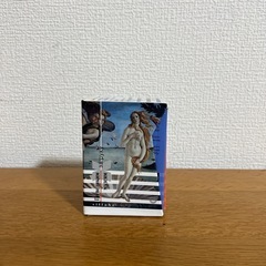 美術作品集 ルネサンス全10巻の画像