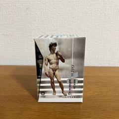 美術作品集 ルネサンス全10巻の画像