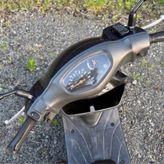 販売済みの画像