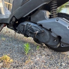 販売済みの画像