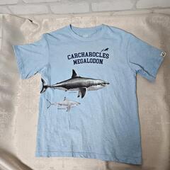 🔥20％引き【☘️中古美品】お得な３点セット！キッズ150サイズ /  Tシャツ２枚、ハーフパンツ１枚セットの画像