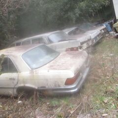 オールドMベンツ123.280Eリサイクル-部品取り車両―エンジ...