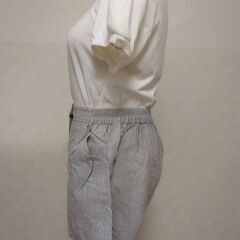 パンツ　短パン　ストライプの画像