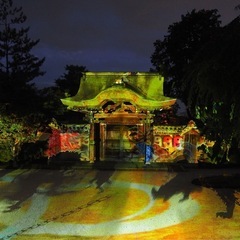 高台寺の夜間特別拝観観に行きたいです！
