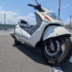 スズキ ジェンマ 250の画像