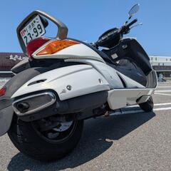 スズキ ジェンマ 250の画像