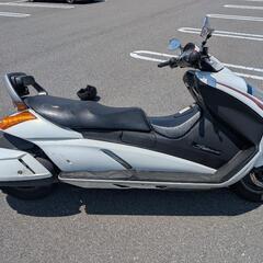 スズキ ジェンマ 250の画像