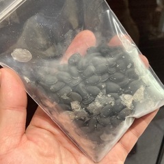 【原種】ヘチマ（ナーベラー）の苗の画像