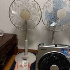 yamazenの画像
