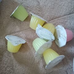 犬　乳酸菌入りゼリーの画像