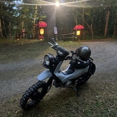 🌲スーパーカブ110PRO🏕️オフロード仕様🦌の画像