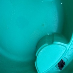 カメさん　プール　砂場の画像