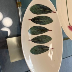 新品お皿の画像