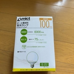 電球の画像