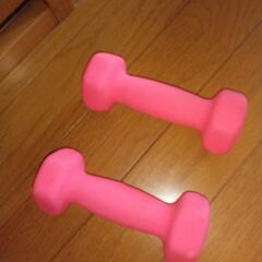 1キロダンベル2個の画像
