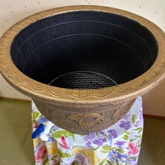 メダカ　金魚鉢の画像