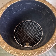 メダカ　金魚鉢の画像