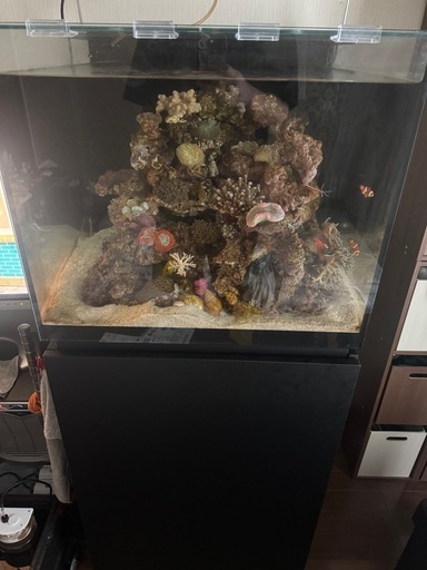 60cmオーバーフロー水槽 M-PRO60 2024年新型