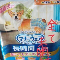 犬のおむつ　Lサイズの画像
